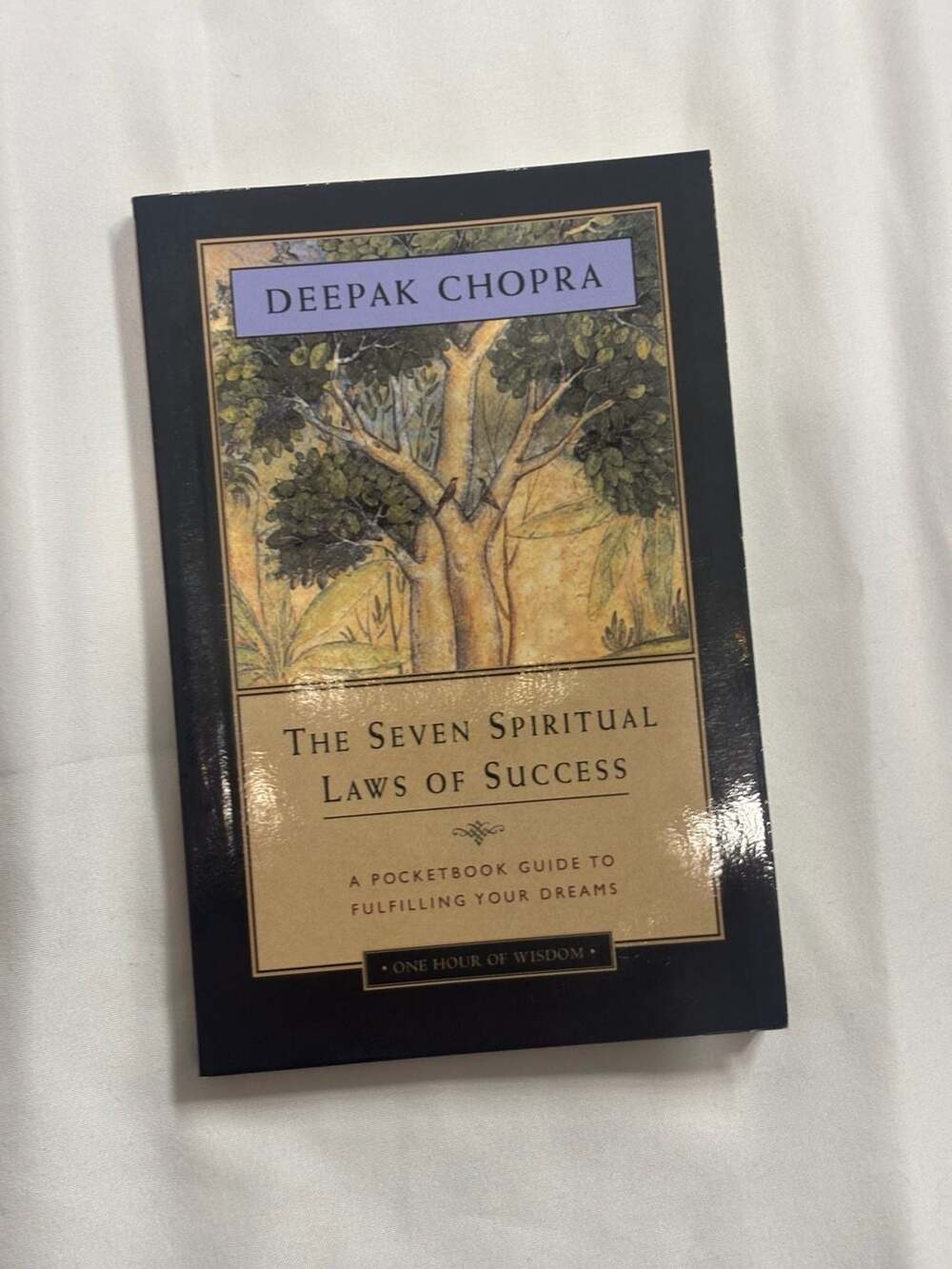 Deepak Chopra The Seven Spiritual Laws of Success Pocketbook
